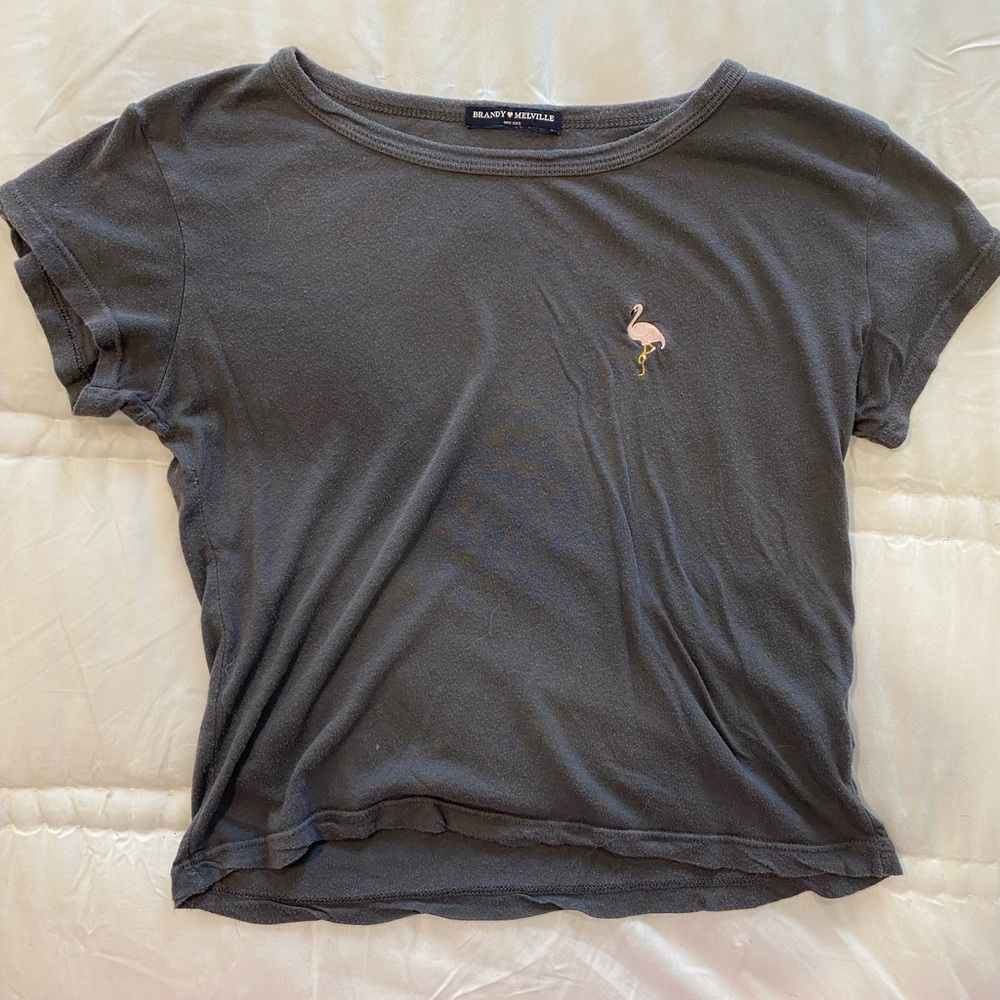 Brandy Melville Flamingo Crop Top